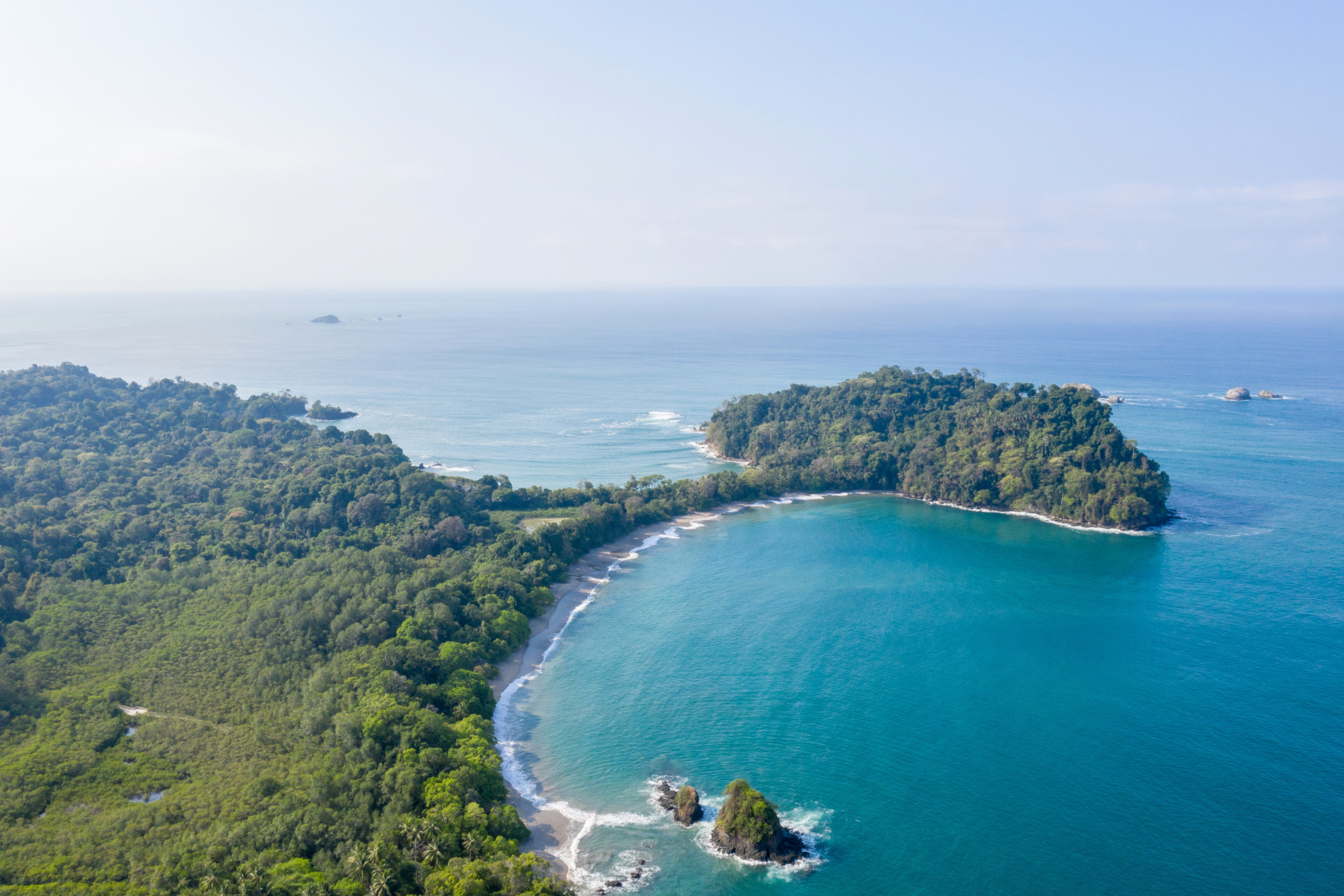 155 manuel antonio national park.webp